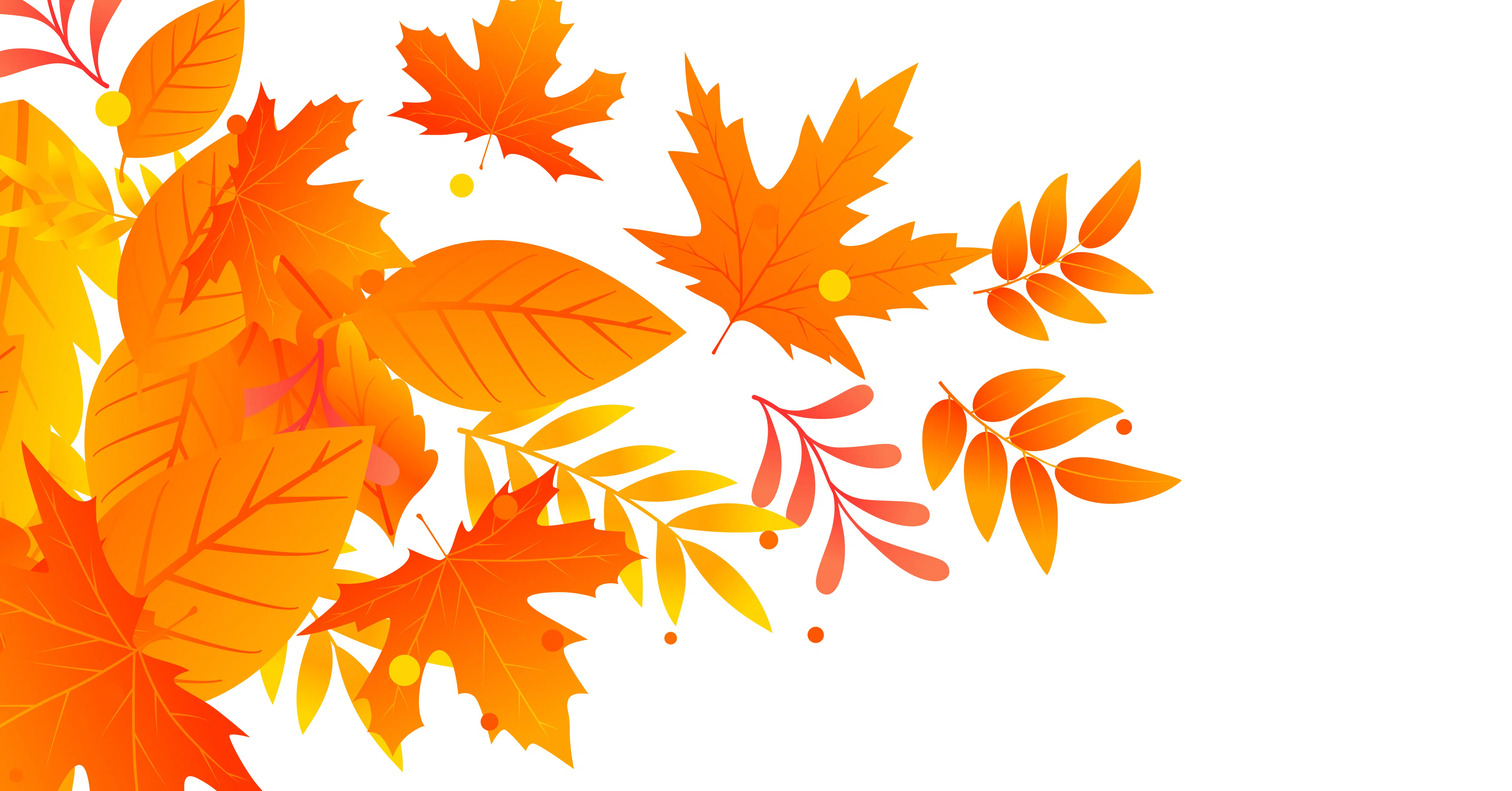 What we&rsquo;re thankful for